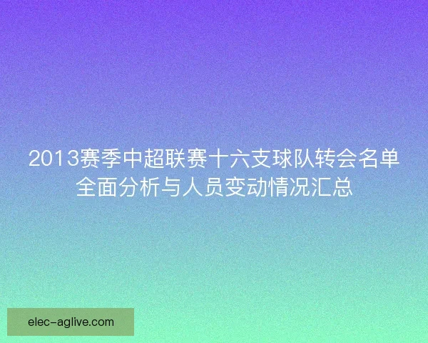 2013赛季中超联赛十六支球队转会名单全面分析与人员变动情况汇总