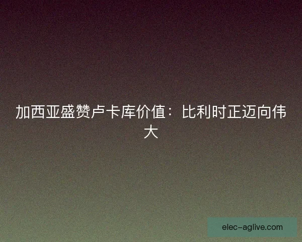 加西亚盛赞卢卡库价值：比利时正迈向伟大