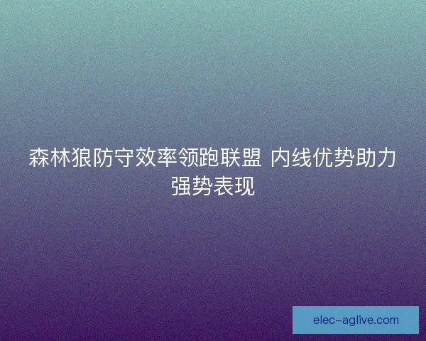 森林狼防守效率领跑联盟 内线优势助力强势表现