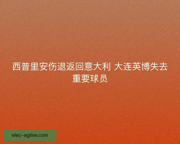 西普里安伤退返回意大利 大连英博失去重要球员