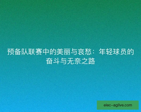 预备队联赛中的美丽与哀愁：年轻球员的奋斗与无奈之路