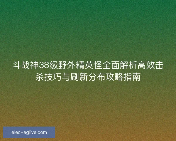 斗战神38级野外精英怪全面解析高效击杀技巧与刷新分布攻略指南